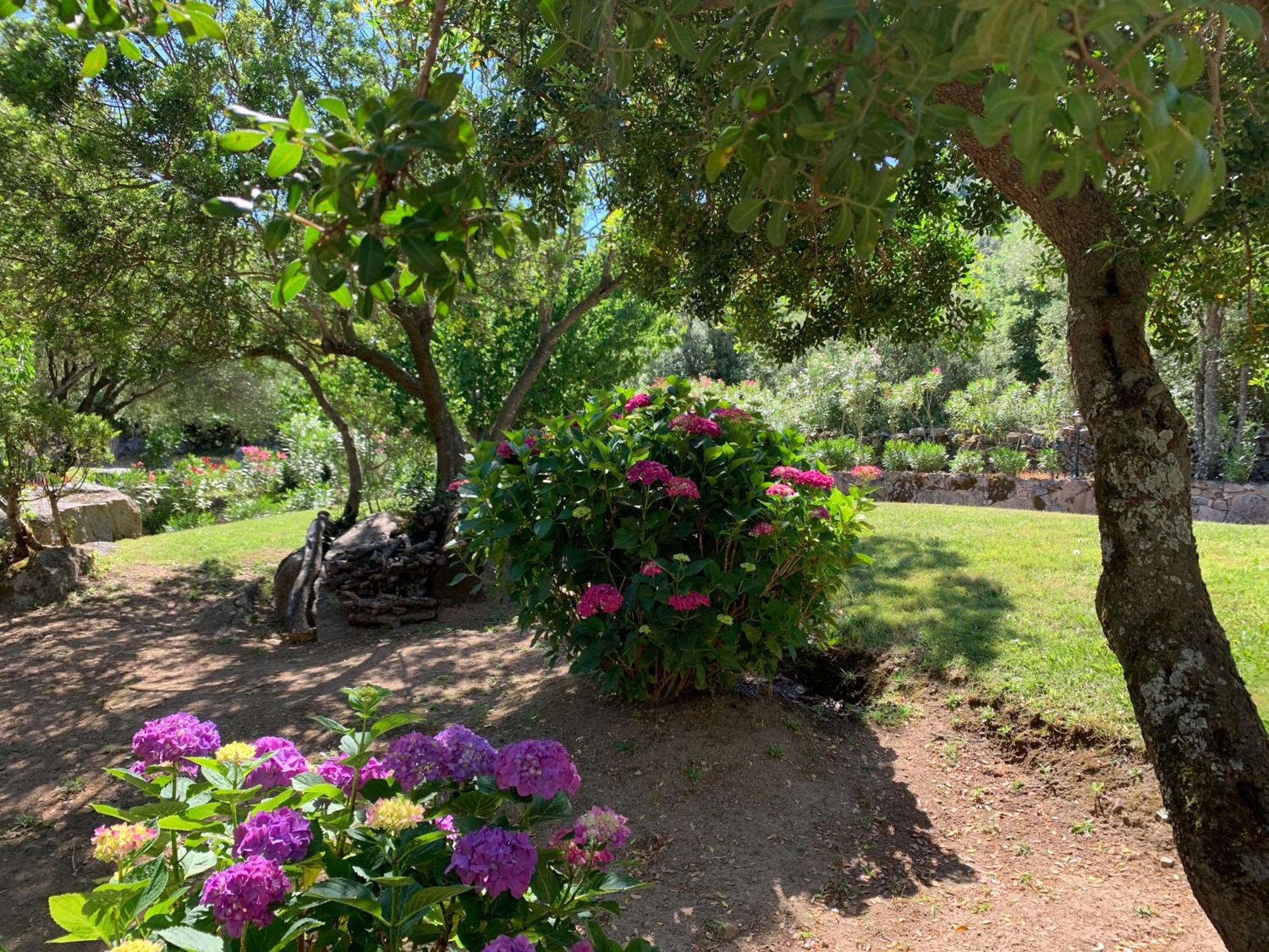 Hotel Valkarana Country Relais (Adults Only) Sant'Antonio di Gallura Eksteriør bilde