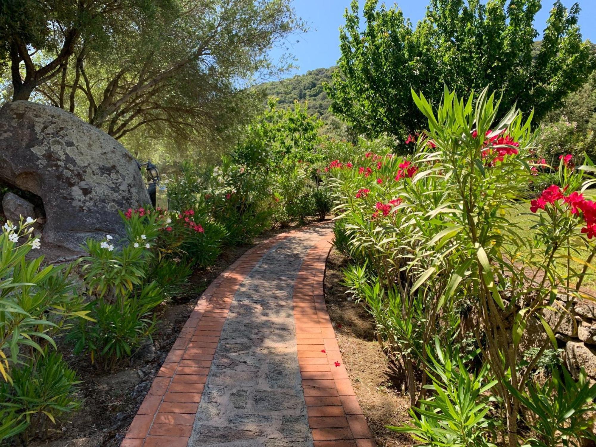Hotel Valkarana Country Relais (Adults Only) Sant'Antonio di Gallura Eksteriør bilde